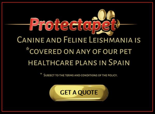 Protectapet cover Canine and Feline Leishmania on all their pet healthcare plans in Spain 